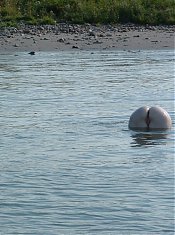 Outdoor Mature - Hot Daily Updates!